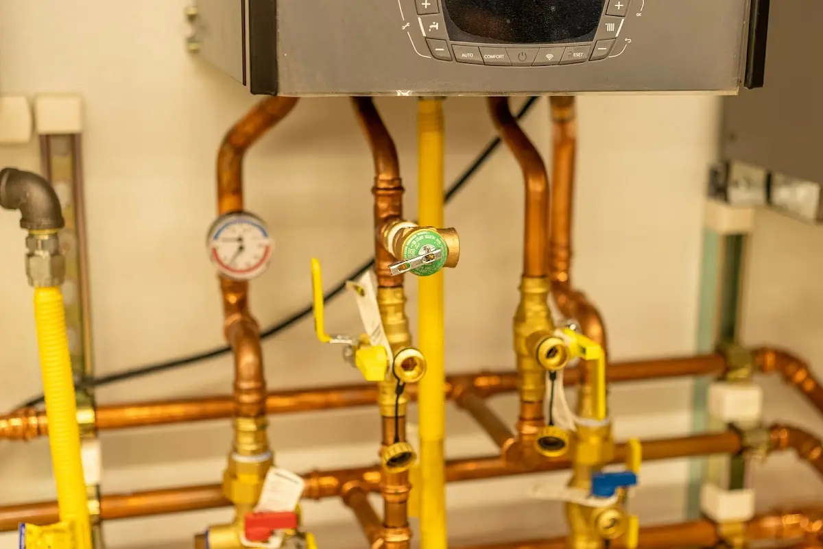 Licensed technician providing Emergency Plumbing for a homeowner in Bayonne